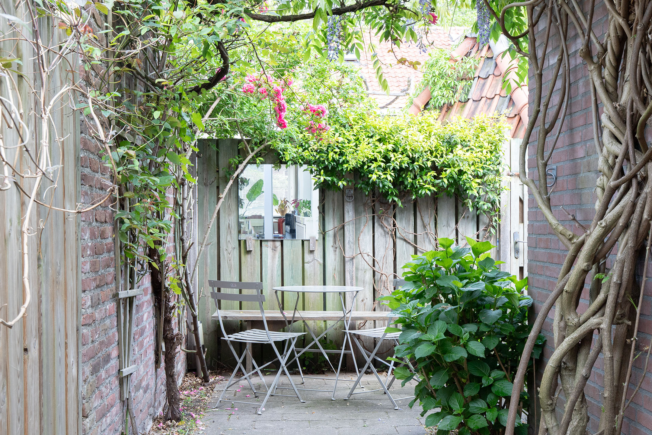 tuin 1